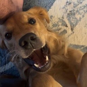 Meet your Posher, Sandi